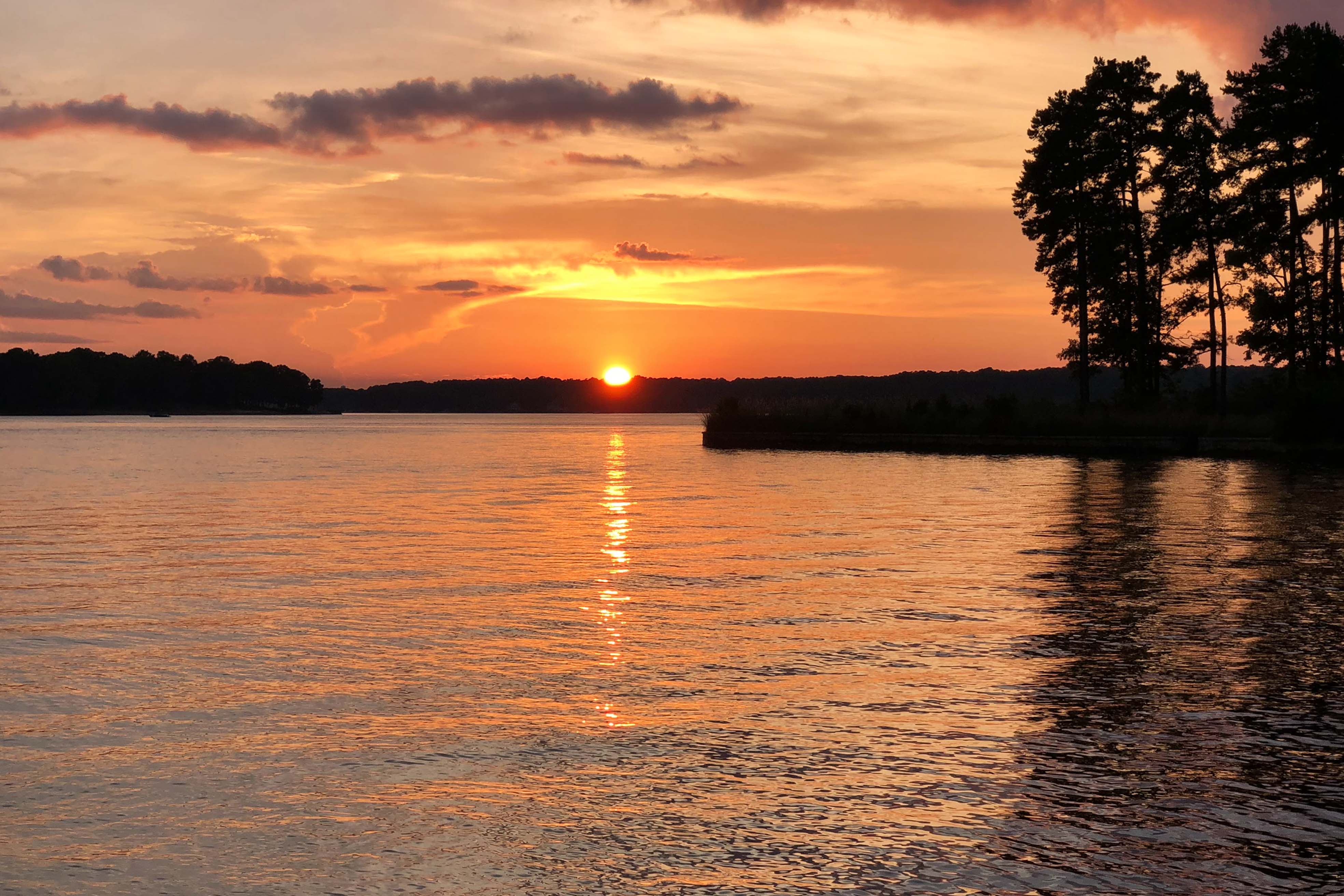 1041 Ruth's Way image 8